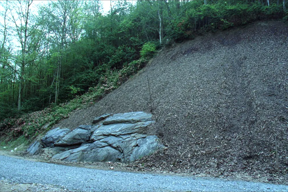 Shallow soil over exposed bedrock in a cut bank on a steep wooded lot in Sevier County, Tennessee